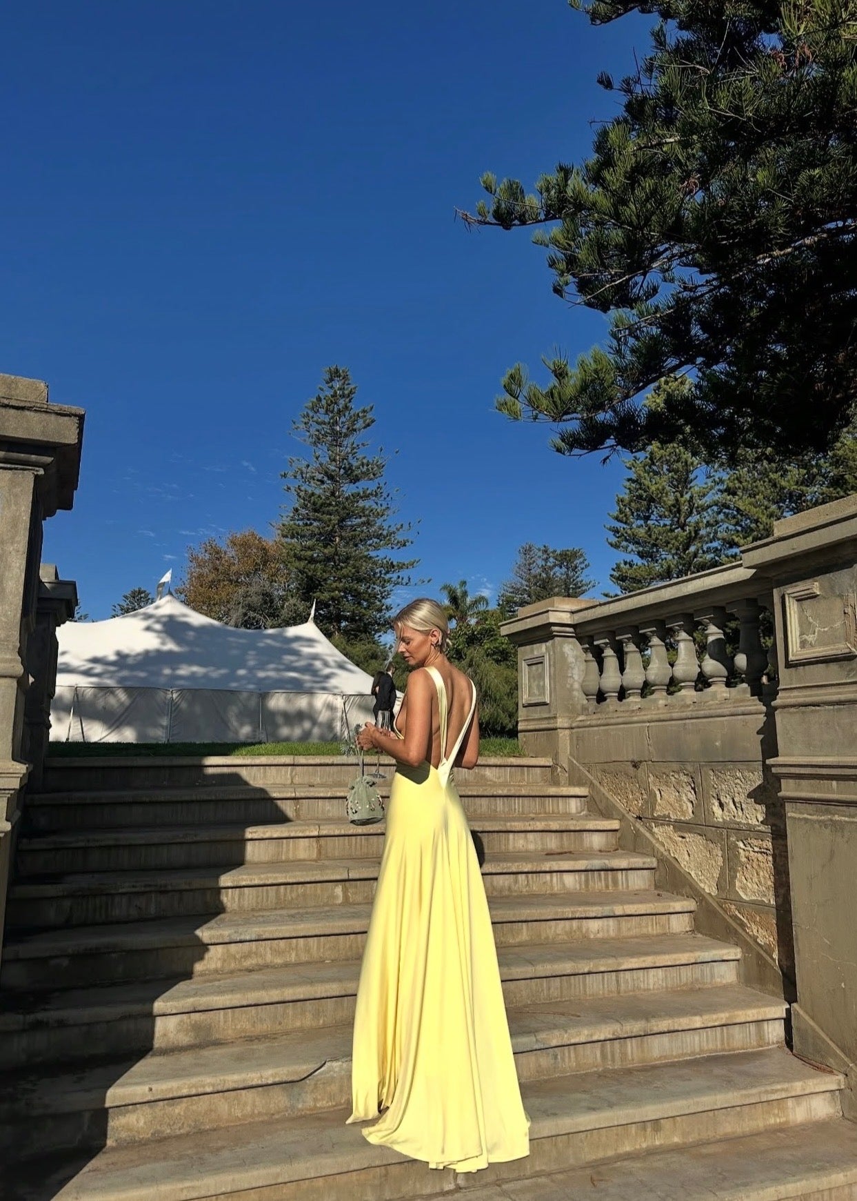 Ance Gria Rosa Gown in Lemon